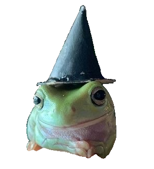 The Frog Wizard